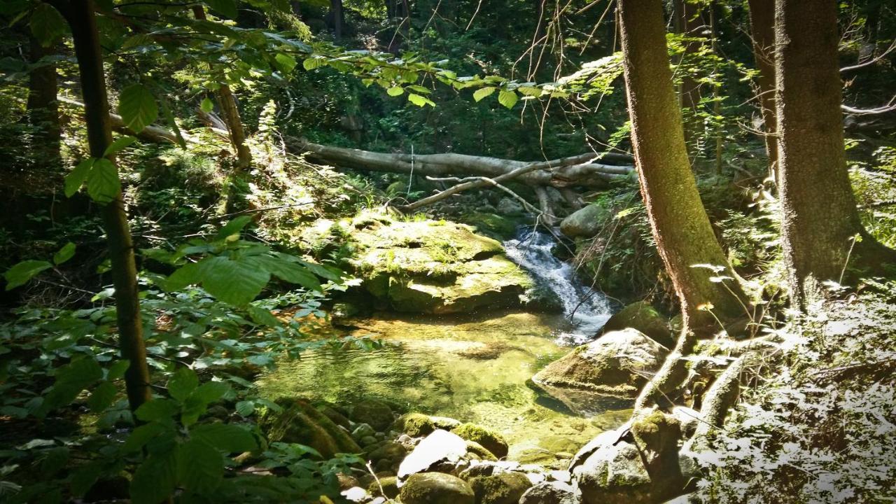 Drewniana Roza Willa Karkonosze Piechowice  Exterior foto