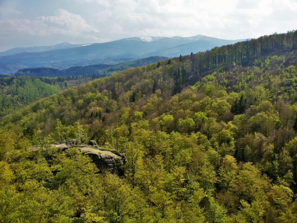 Drewniana Roza Willa Karkonosze Piechowice  Exterior foto